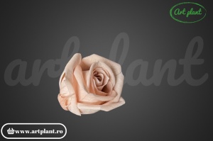 Miniroze Criogenate Antique Pink S - Img 1