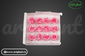 Miniroze Criogenate Baby Pink S - Img 4