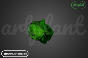 Miniroze Criogenate Emerald Green S - Img 3