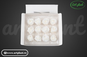 Miniroze Criogenate Pure White S - Img 2
