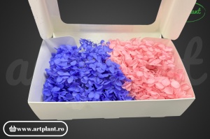 Mix Hortensie Stabilizată – Set cu 2 Culori Naturale - Img 2