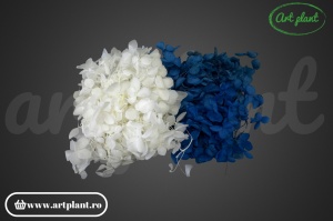 Mix Hortensie Stabilizată – Set cu 2 Culori Naturale - Img 2