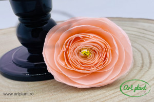 Ranunculus Criogenat Peach Pea89 - Img 1