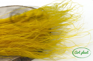 Stipa Galben