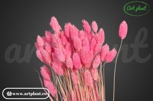 Talaris candy pink - Img 2