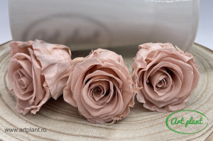 Trandafir criogenat Antique Pink XL - Img 3