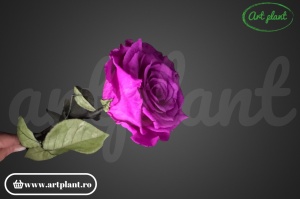 Trandafir criogenat Mov Pur02 cu tijă, 30 cm - Img 2