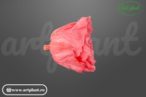 Cap de trandafir criogenat dusty pink 100% natural, Romantic Shape, Ø 6–6.5 cm, decor interior elegant, aranjament floral