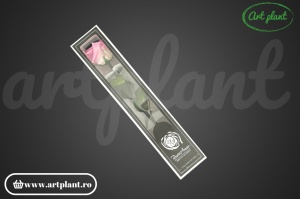 Trandafir criogenat Roz Bic08 cu tijă, 30 cm - Img 4