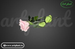Trandafir criogenat Roz Pal Pin04 cu tijă, 30 cm - Img 2