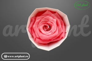 Trandafir criogenat 6cm Roz - Art Plant