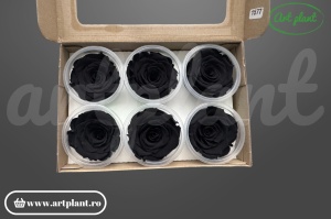 Trandafiri Criogenati L Black Bla01