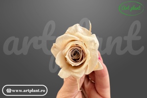 Trandafiri Criogenati Mini Nude