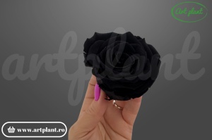 Trandafiri Criogenati XL Black Bla01