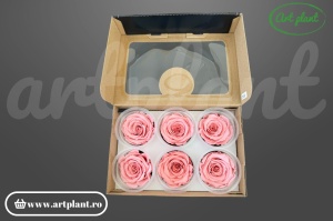 Trandafiri Criogenati XL Roz Pin06