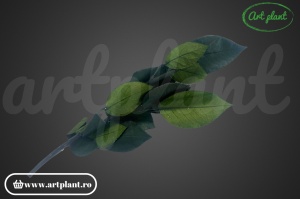 Tulpină trandafir stabilizat 30 cm