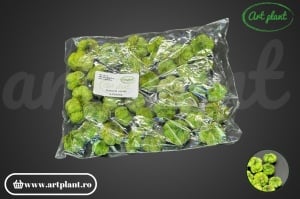 Usturoi verde - Img 2