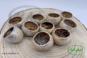 Bell Cup Glitter Argintiu (diametru 4-5 cm)