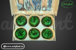Bujori Criogenați Verde Inchis Gre02 - Img 2