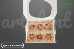 Buttercup Stabilizat Nude din Ecuador, Ø 4–4.5 cm • Înălțime 3–3.5 cm, 6 buc