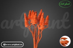 Cane cone mini portocaliu