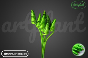 Cane cone mini verde