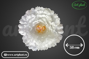 Cap Bujor diametru 58 cm - Img 1
