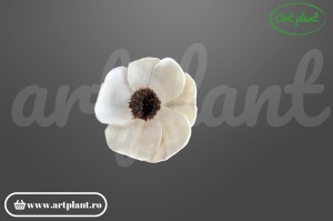 Cap anemonă sola 6 cm cu petale albe și centru brun negru, floare decorativă din lemn de sola