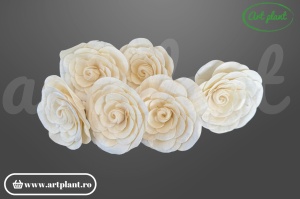 Cap begonie sola 10 cm cu petale ondulate și asimetrice, floare decorativă naturală din lemn de sola