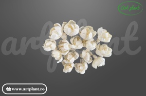 Cap camelie sola 4 cm cu petale simetrice în spirală, floare decorativă elegantă din lemn de sola