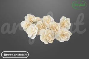 Cap camelie sola 6 cm cu petale simetrice în spirală, floare decorativă elegantă din lemn de sola
