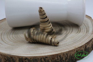 Capete cane cone natur 4-8 cm, 2 buc