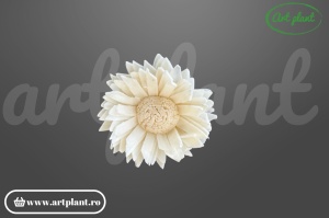 Cap floarea soarelui sola 4 cm cu petale alungite și centru brun, floare decorativă din lemn de sola