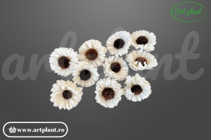 Cap floarea soarelui titonia sola 6 cm cu petale rotunjite compacte, floare decorativă din lemn de sola