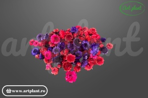 Capete flori de paie mix