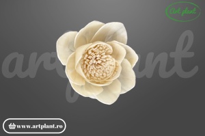 Capete lotus sola8 cm