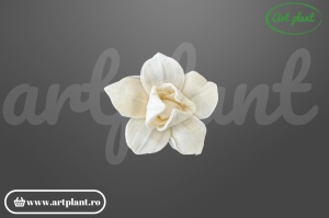 Cap magnolie stelată sola 6 cm cu petale alungite în formă de stea, floare decorativă din lemn de sola