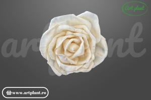 Cap trandafir sola deschis 8 cm cu petale larg desfăcute, floare decorativă albă din lemn de sola
