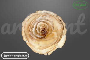 Capete trandafir sola rustic / vintage 10cm