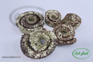 Coarne Deco Champagne Glitter
