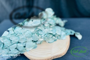 Eucalipt Espiral Metal Turquoise - Img 2