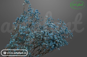gypsophila criogenată light blue flori decorative pentru aranjamente