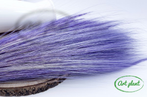 Iarba Barba Purple