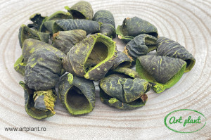 Lali Verde inchis