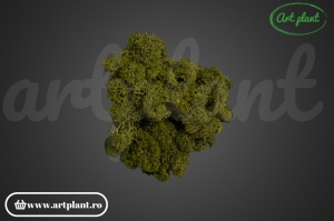 Licheni stabilizati Medium Green C