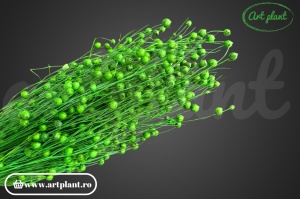 Lino (In) Verde - Img 2