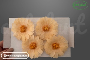 margarete criogenate peach flori naturale conservate