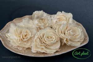Ming bujori natur 6 cm