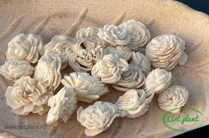 Ming natur 2 cm, 20 buc