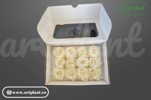 Mini Rose Romantic stabilizate light beige 12 buc flori naturale Ecuador stabilizare ecologică Art Plant
